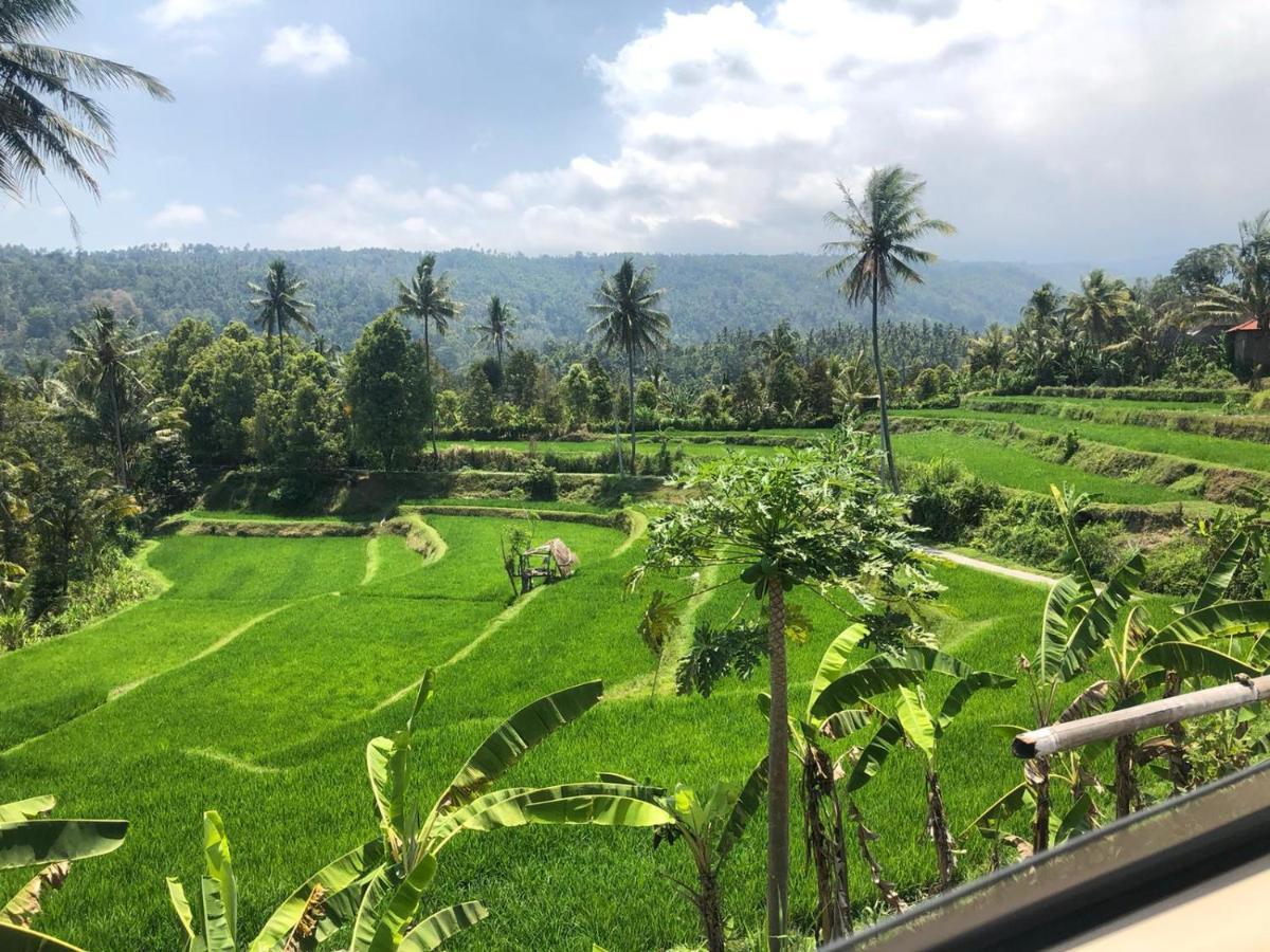 Tegal Sari, Pemuteran- North Bali Hotel Kültér fotó