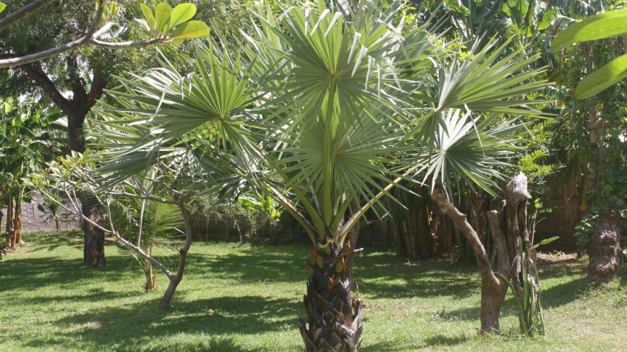 Tegal Sari, Pemuteran- North Bali Hotel Kültér fotó