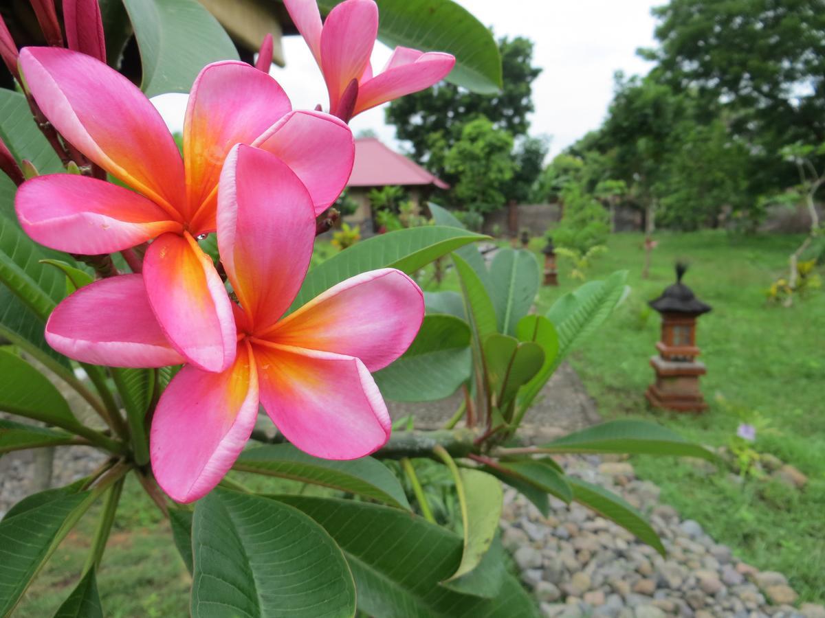 Tegal Sari, Pemuteran- North Bali Hotel Kültér fotó