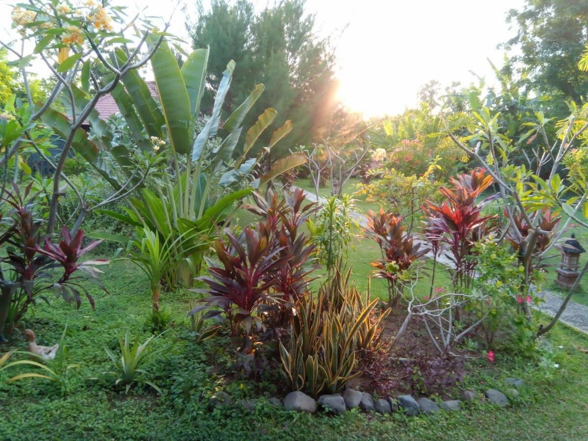 Tegal Sari, Pemuteran- North Bali Hotel Kültér fotó