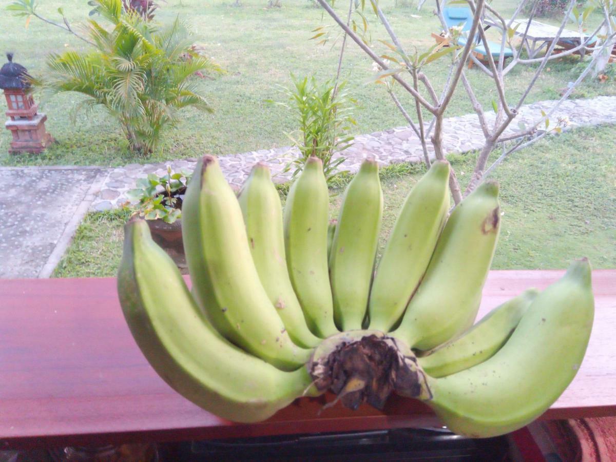 Tegal Sari, Pemuteran- North Bali Hotel Kültér fotó