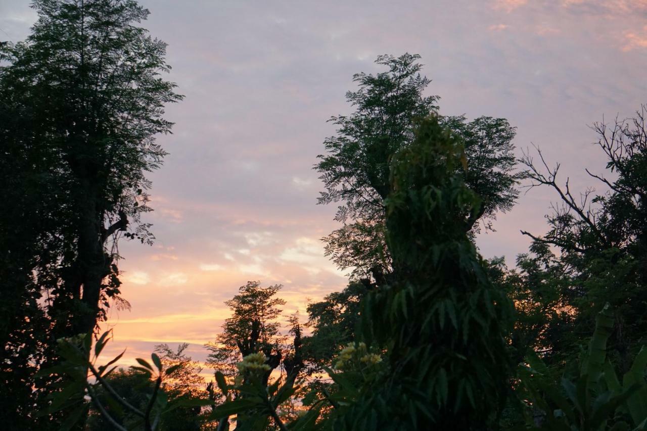 Tegal Sari, Pemuteran- North Bali Hotel Kültér fotó