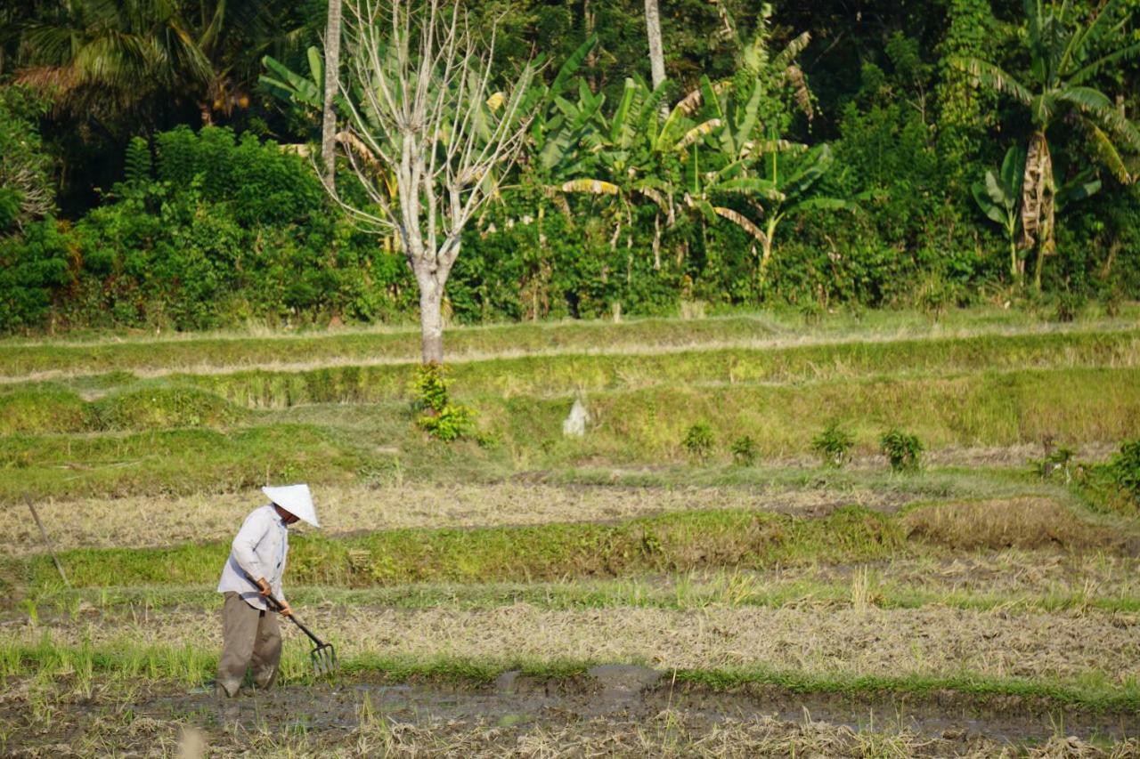 Tegal Sari, Pemuteran- North Bali Hotel Kültér fotó