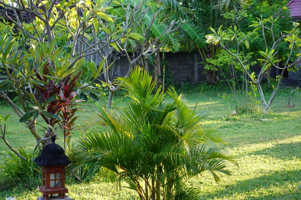 Tegal Sari, Pemuteran- North Bali Hotel Kültér fotó