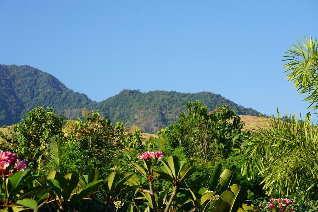 Tegal Sari, Pemuteran- North Bali Hotel Kültér fotó