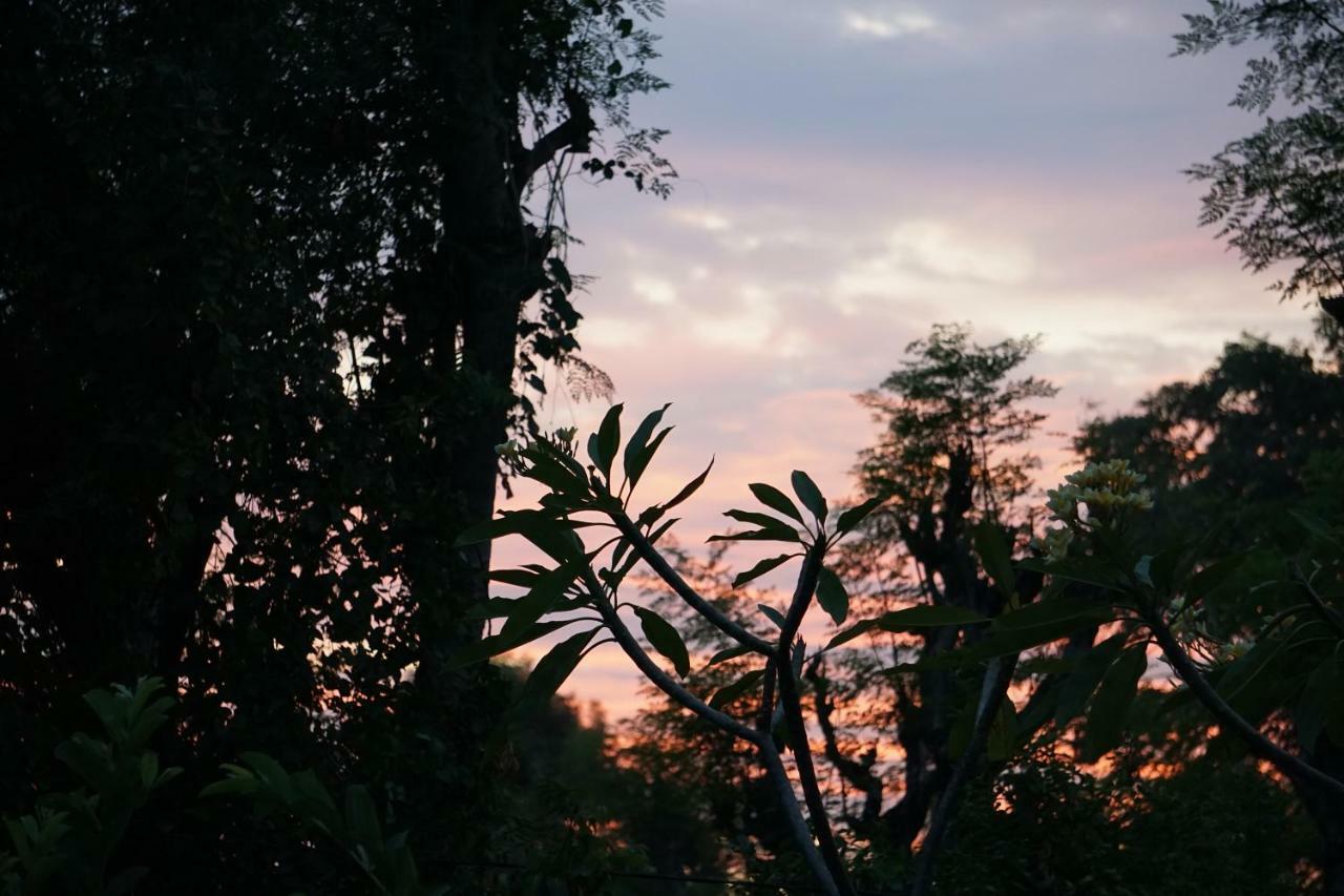 Tegal Sari, Pemuteran- North Bali Hotel Kültér fotó